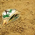 Handmade Silver Ring with Shell hand painted