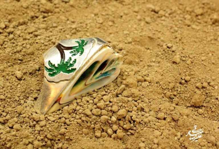 Handmade Silver Ring with Shell hand painted