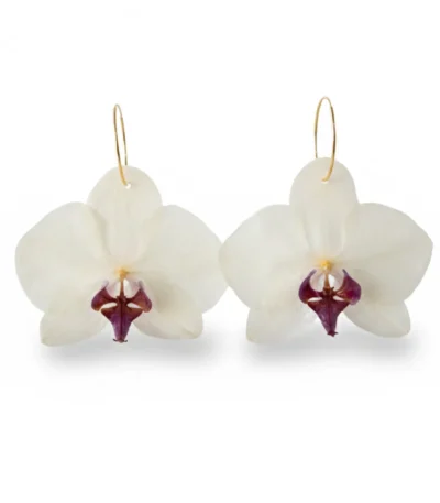 Handmade Real Orchid Earrings With Silver Hoop in white background