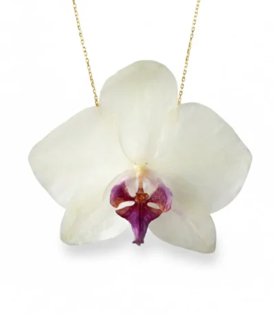 Handmade Real Orchid Necklace With Silver Chain