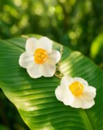 Handmade double daffodil pendant necklace with gold chain placed gently on a large green leaf in natural sunlight.