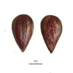 Tears Earrings, handmade earrings, Art antique jewelry, paper mache