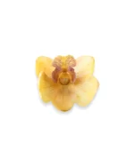 Handmade Dendrobium Orchid Bud Brooch