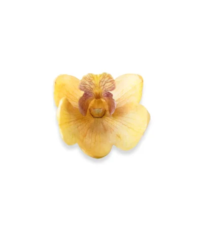 Handmade Dendrobium Orchid Bud Brooch