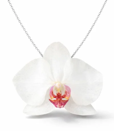 Handmade Real Orchid Necklace With Silver Chain