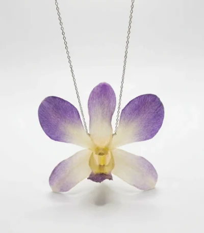 Real Dendrobium Orchid Necklace Silver Chain